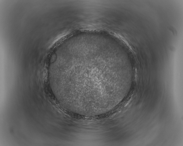 X0000112891350200909111456