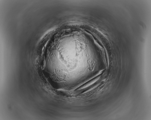 X0000112891351200909111456