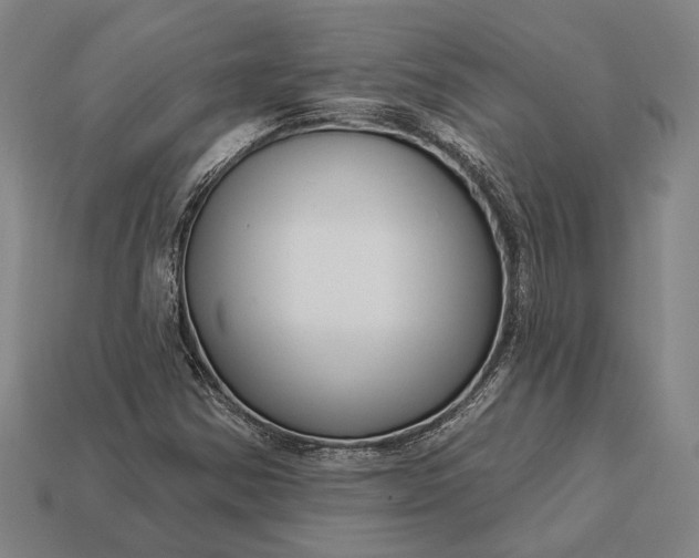 X0000112891354200909111456