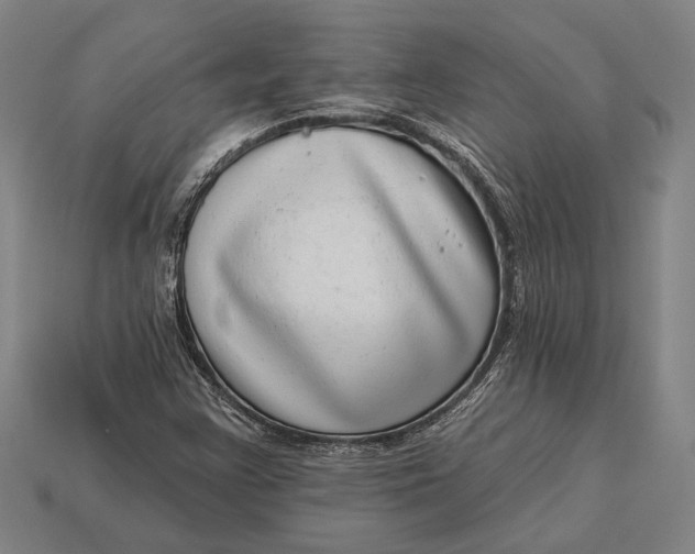 X0000112891355200909111456