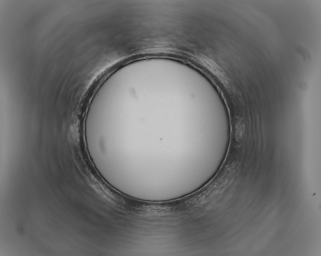 X0000112891356200909111456