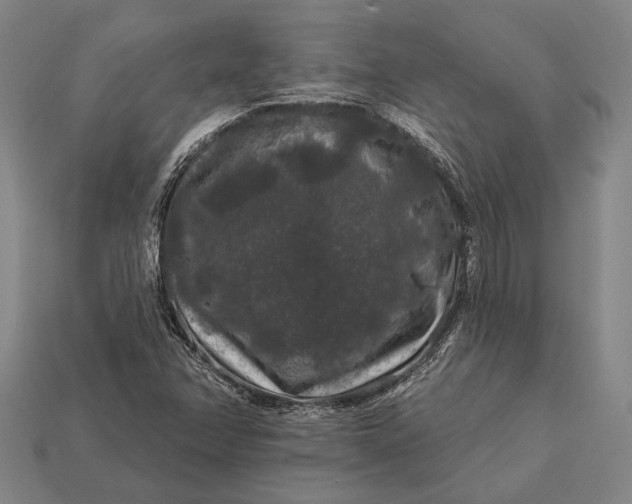 X0000112891358200909111456