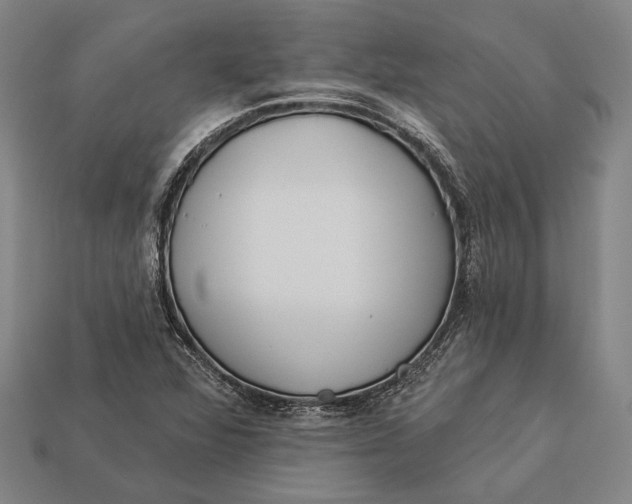 X0000112891360200909111456