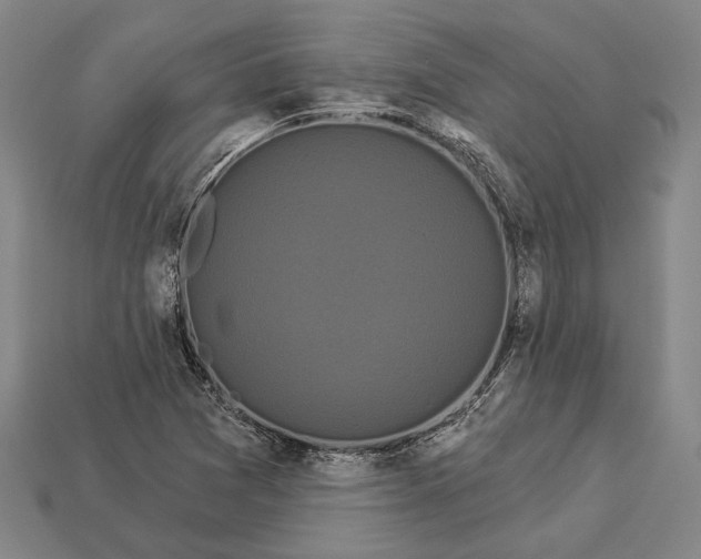 X0000112891361200909111456