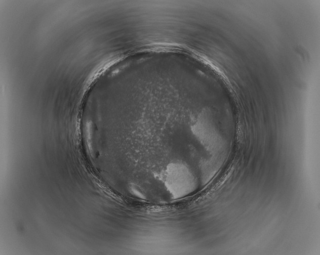 X0000112891362200909111456