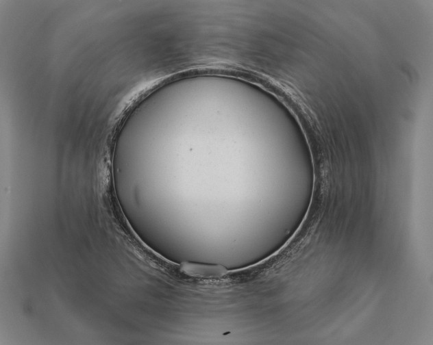 X0000112891363200909111456