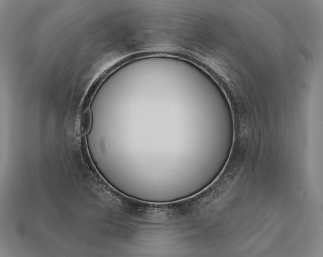 X0000112891364200909111456