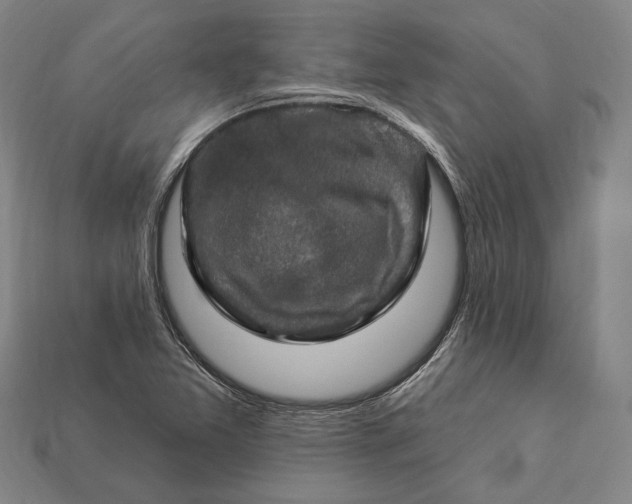 X0000112891365200909111456