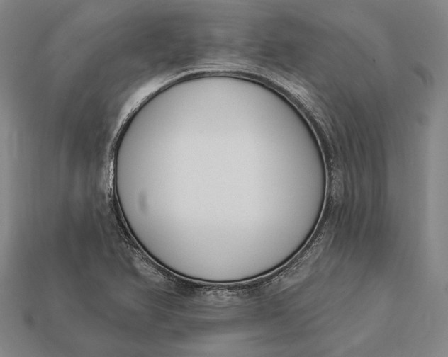 X0000112891366200909111455
