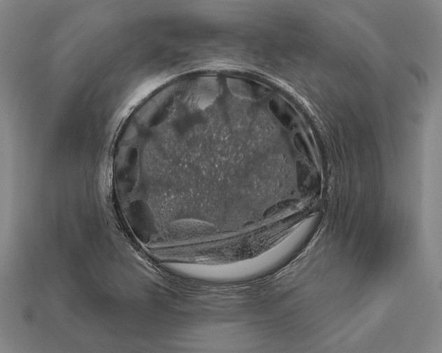 X0000112891367200909111455