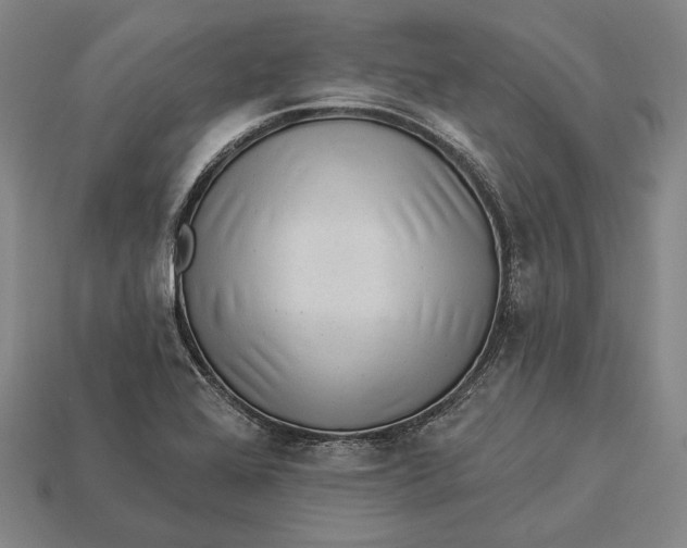 X0000112891368200909111455