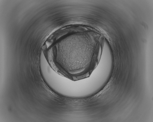 X0000112891369200909111455