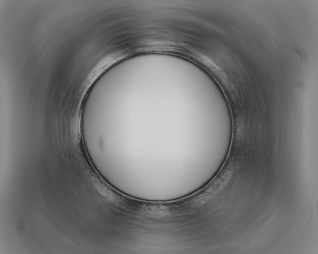 X0000112891370200909111455