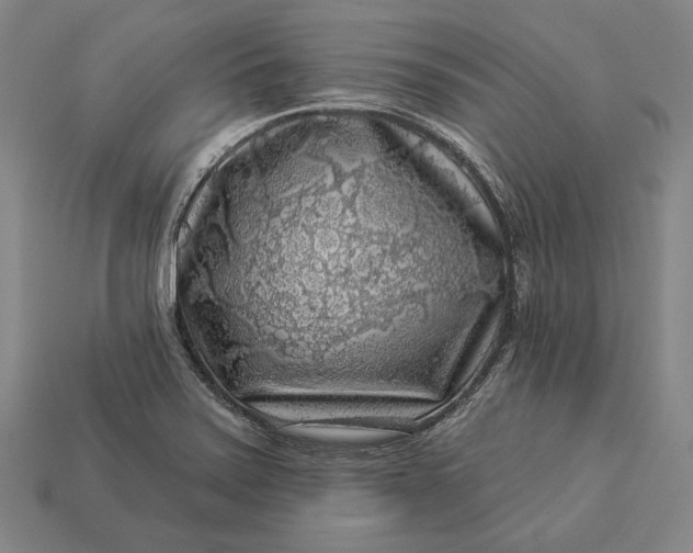 X0000112891371200909111455