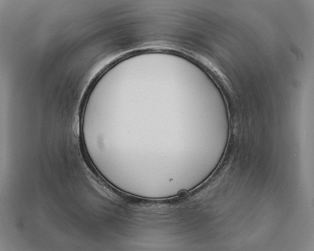 X0000112891372200909111455