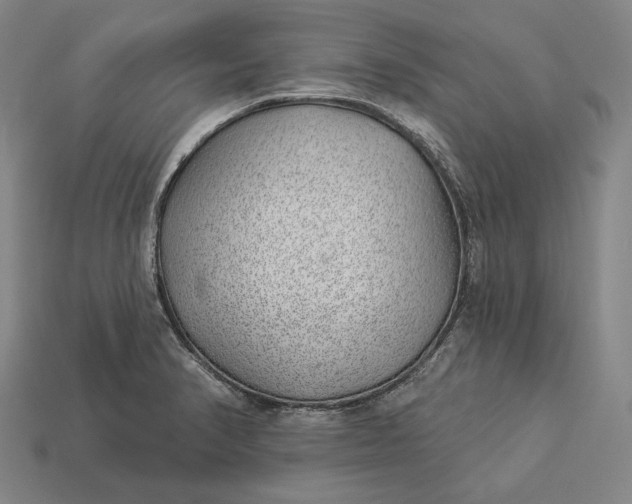 X0000112891374200909111455