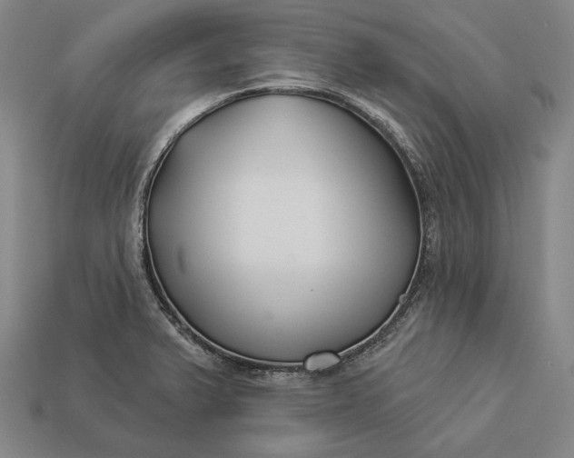 X0000112891375200909111455