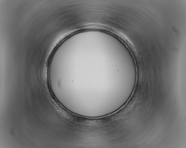 X0000112891376200909111455
