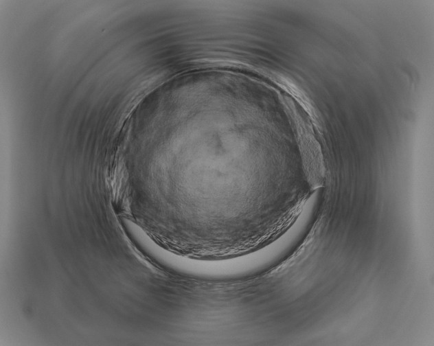 X0000112891377200909111455