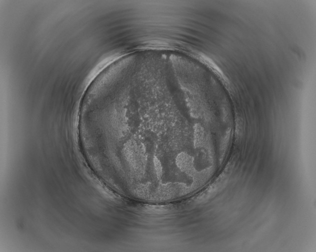 X0000112891378200909111455