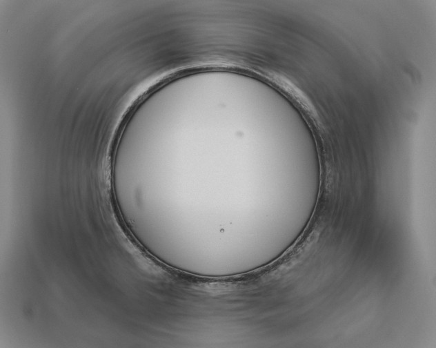 X0000112891380200909111455