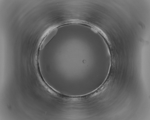 X0000112891381200909111455