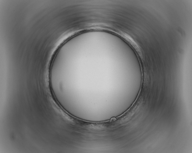 X0000112891384200909111455