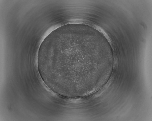 X0000112891386200909111455