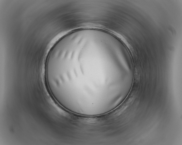 X0000112891387200909111455