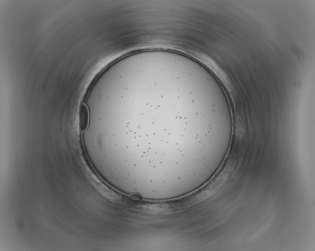 X0000112891388200909111455