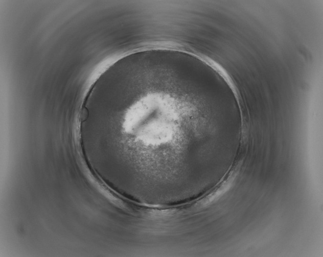 X0000112891389200909111455
