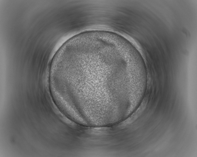 X0000112891390200909111455