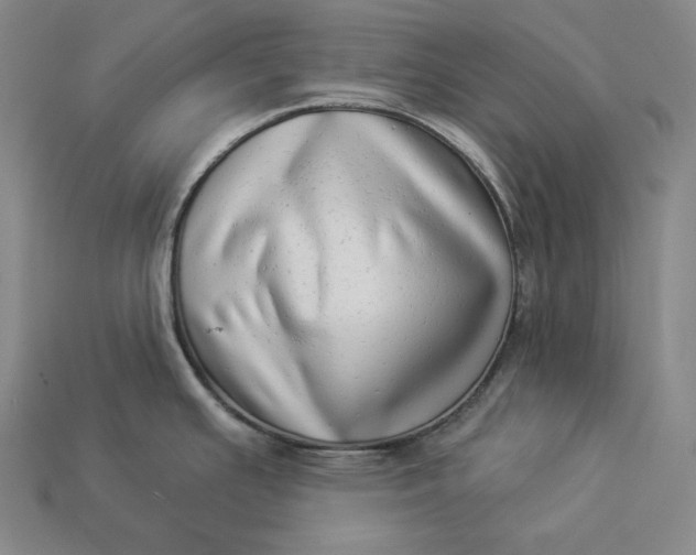 X0000112891391200909111455