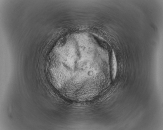 X0000112891393200909111454