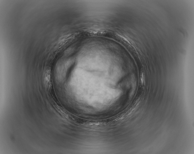X0000112891396200909111454