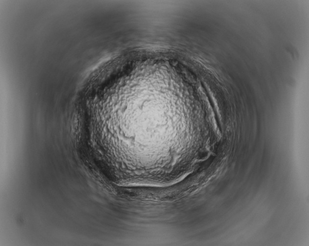 X0000112891398200909111454