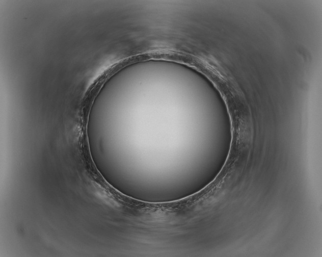 X0000112891400200909111454
