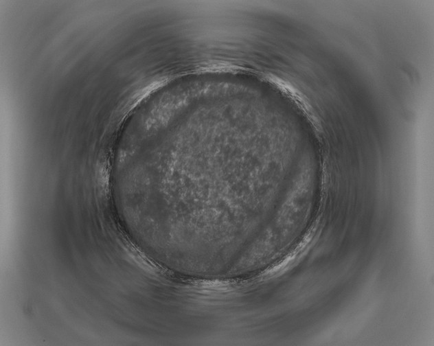 X0000112891401200909111454