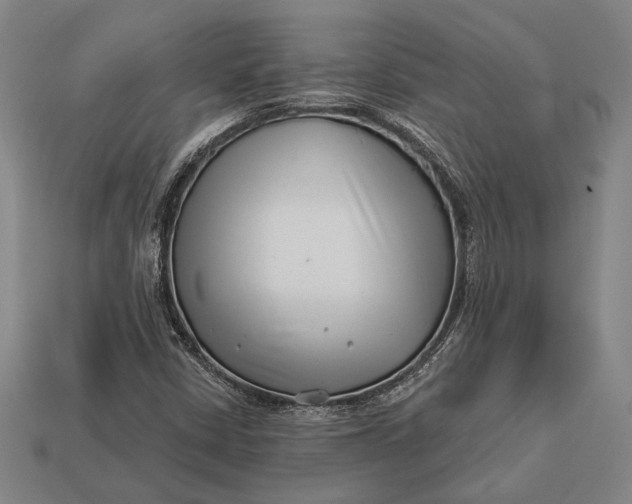 X0000112891402200909111454