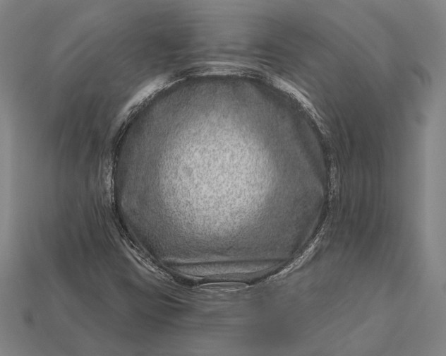 X0000112891403200909111455