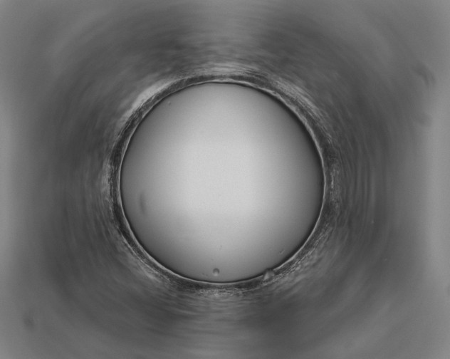 X0000112891404200909111455