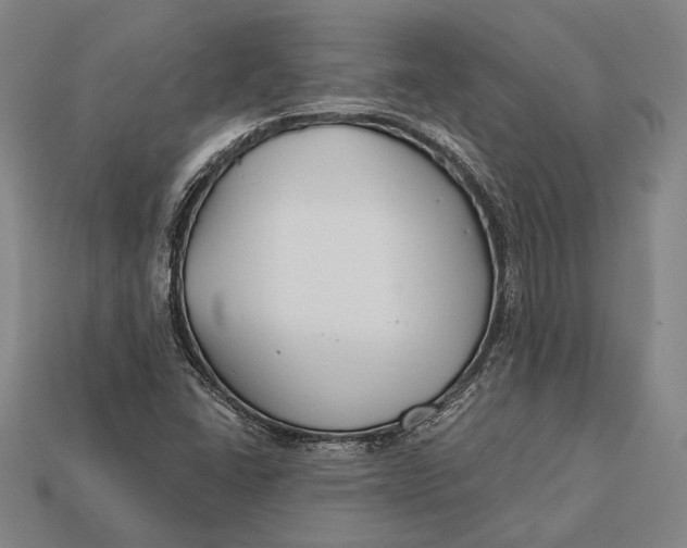 X0000112891406200909111455