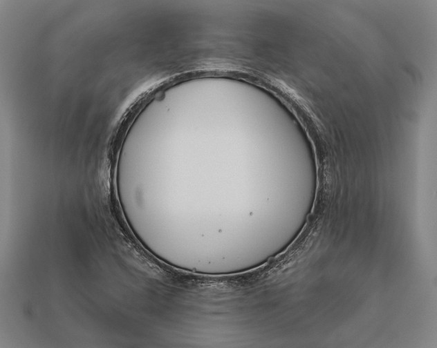 X0000112891408200909111455