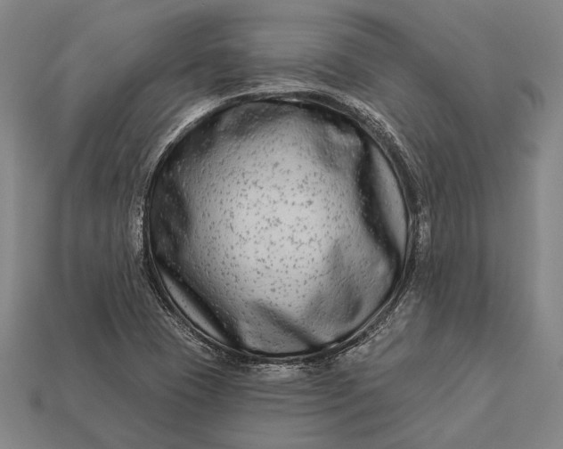 X0000112891409200909111455