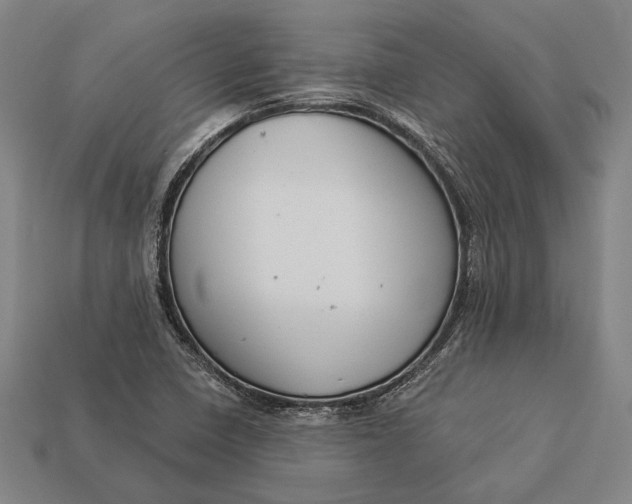 X0000112891410200909111455