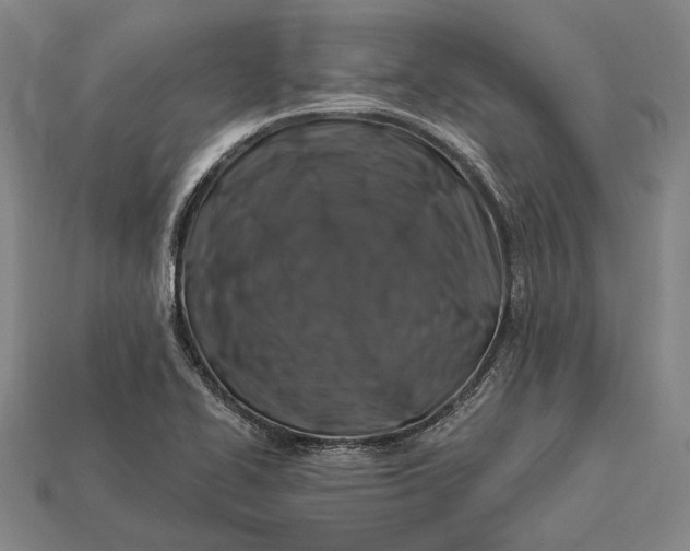 X0000112891414200909111455