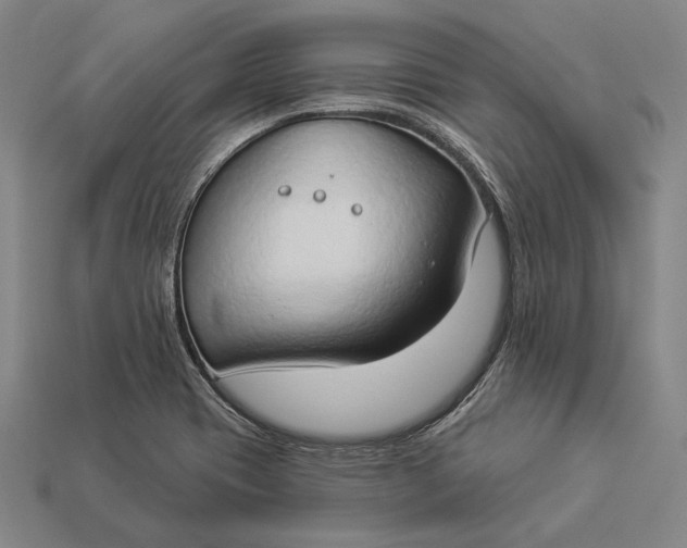 X0000112891417200909111455