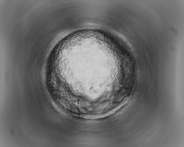 X0000112891421200909111455
