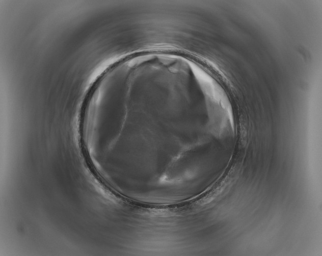 X0000112891422200909111455