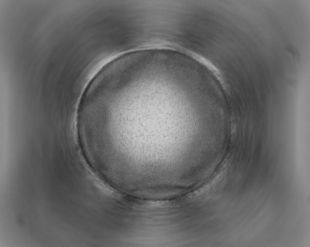 X0000112891423200909111455
